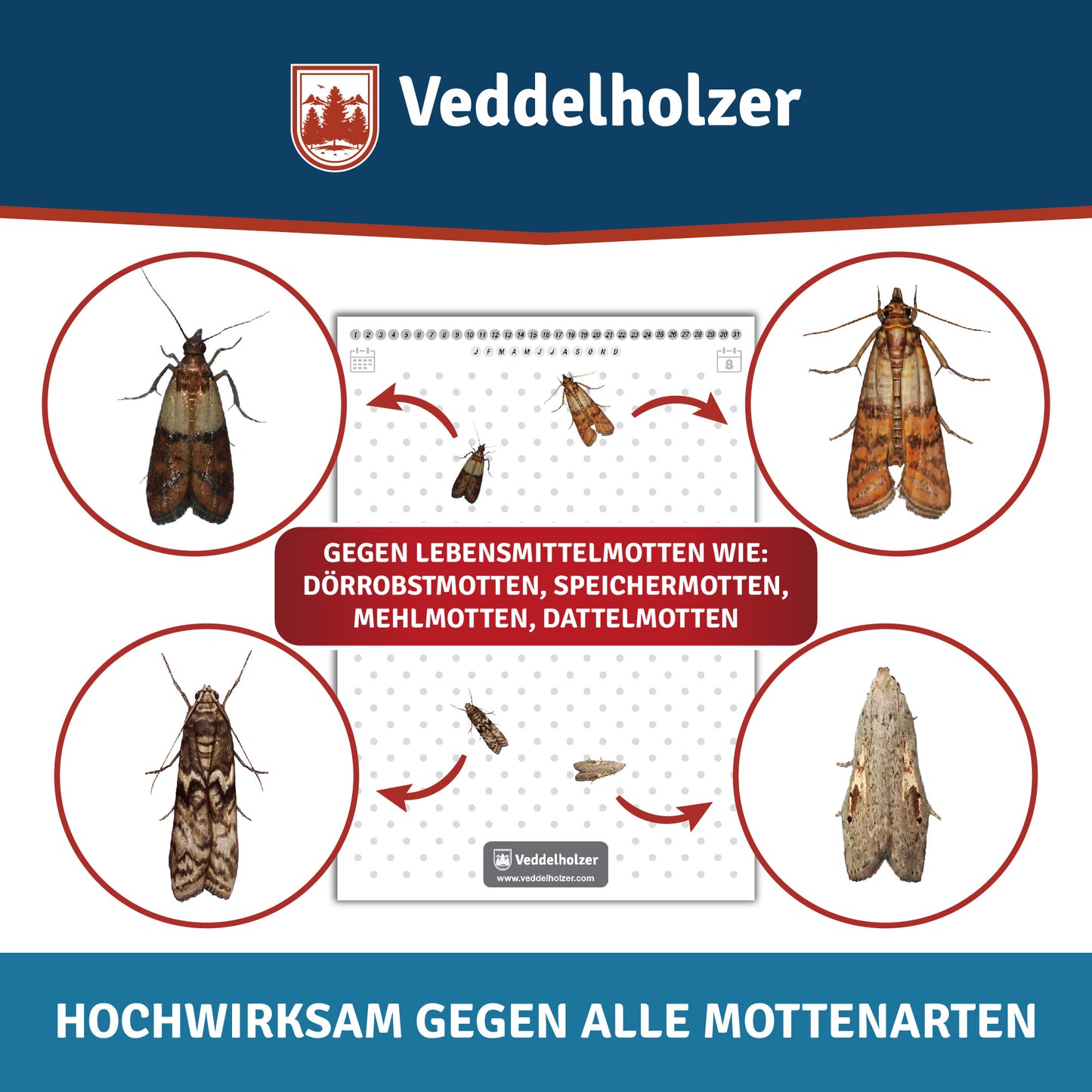 10 Stück Lebensmittelmotten-Falle mit Pheromon Lockwirkung