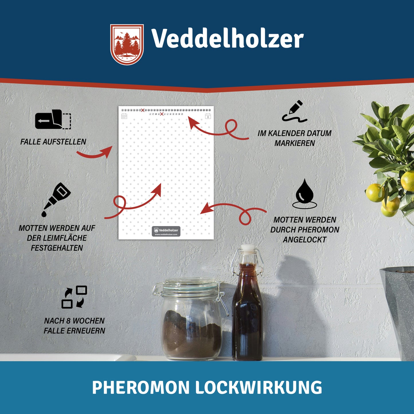 10 Stück Lebensmittelmotten-Falle mit Pheromon Lockwirkung
