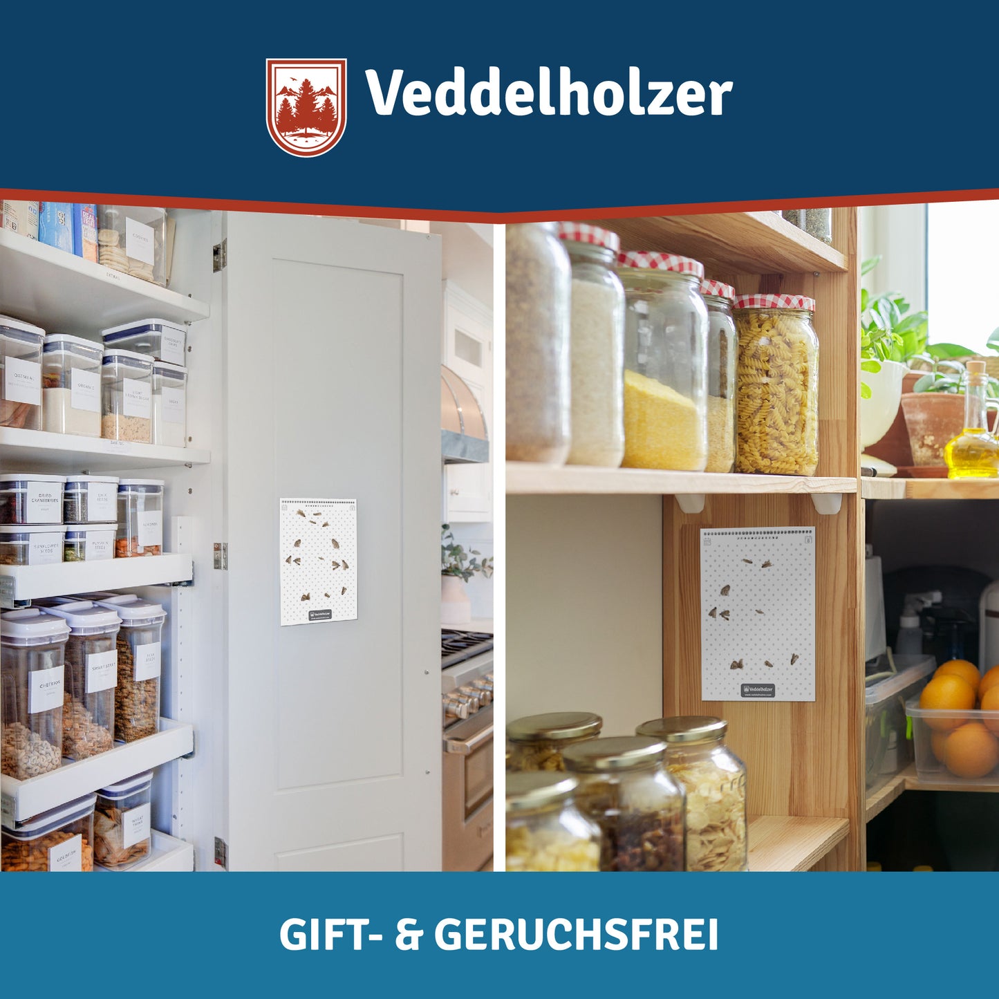 10 Stück Lebensmittelmotten-Falle mit Pheromon Lockwirkung