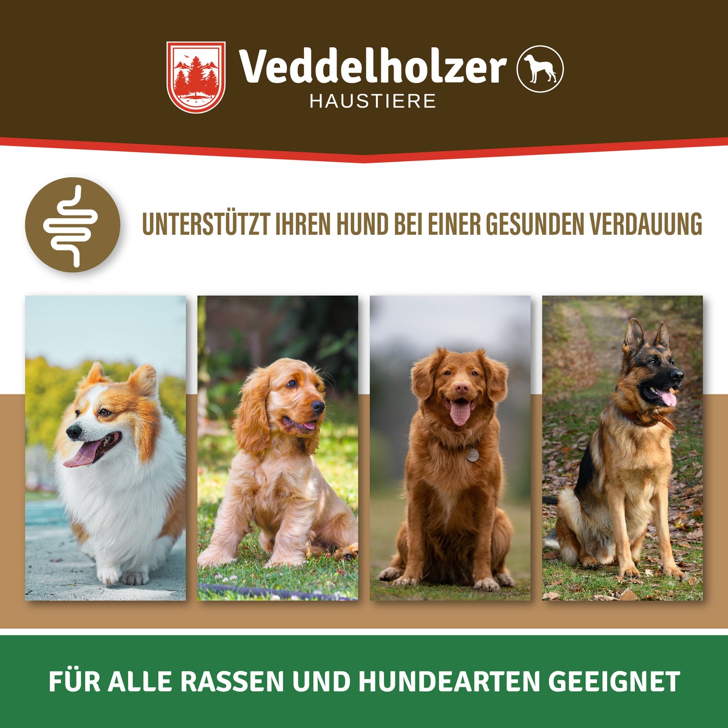 Veddelholzer 200 Gramm Hunde Leckerlis Probiotika