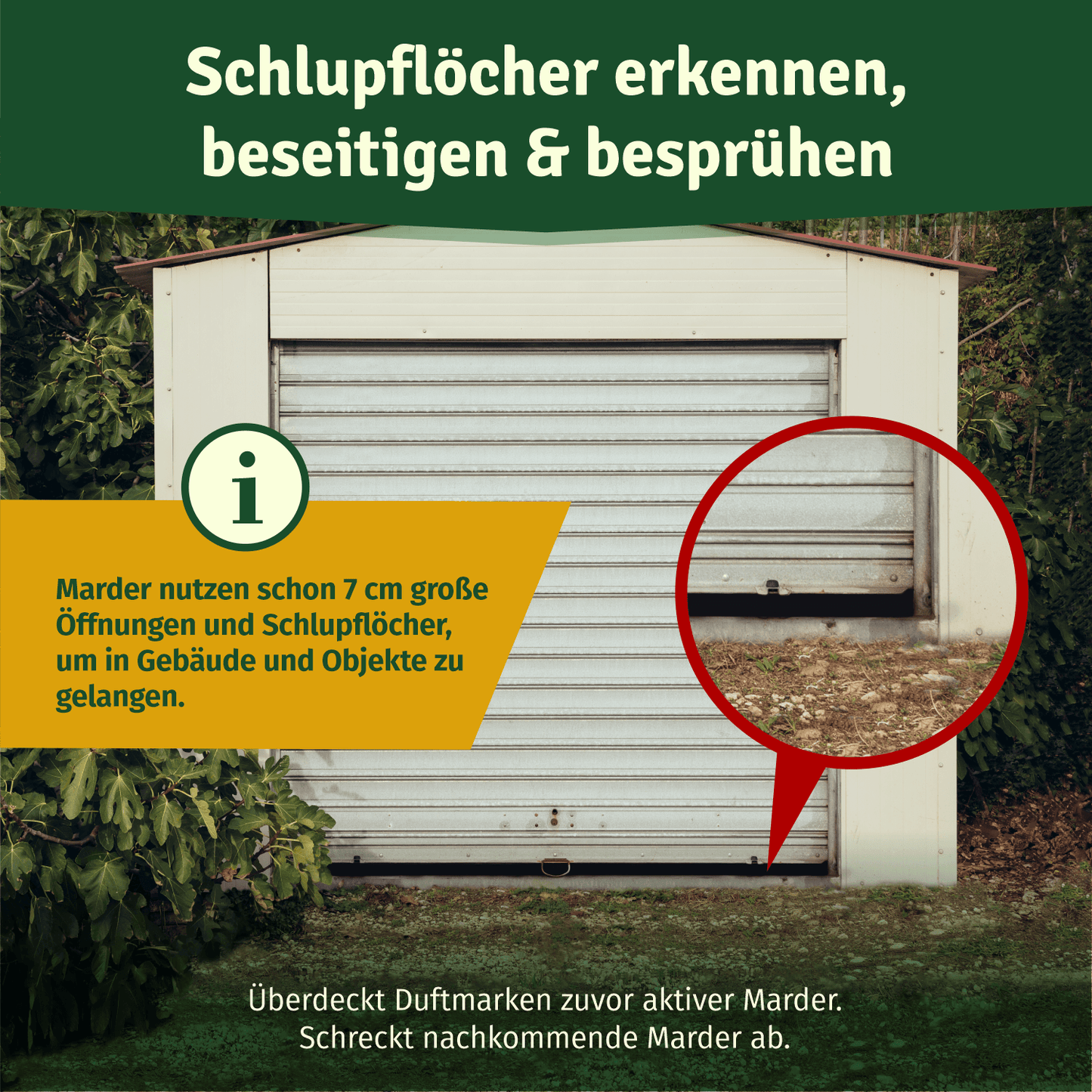 Veddelholzer Marderspray für Auto, Dachboden und Garage