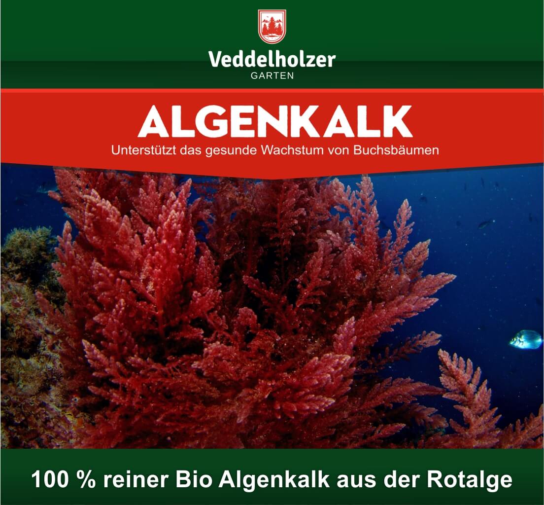 DER SIEGER 09/2020 Veddelholzer 6kg Bio Algenkalk 100% reines Pulver aus Meeresalgen