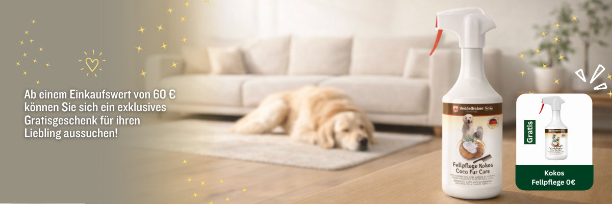 Wähle dein Gratis-Geschenk aus!